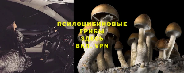 apvp Алзамай
