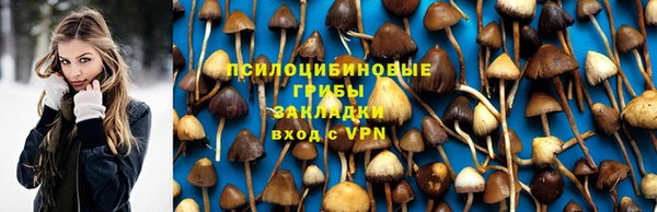 PSILOCYBIN Алексеевка