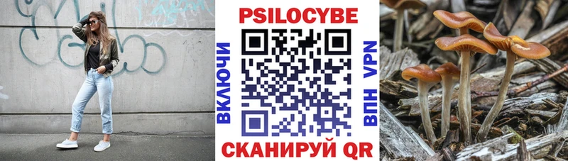 Галлюциногенные грибы мухоморы  купить закладку  Темников 